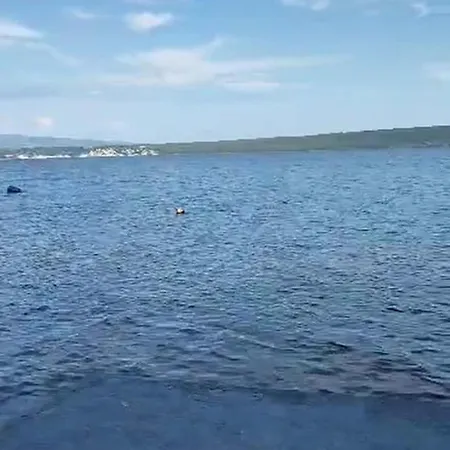 Aki Villa Posedarje